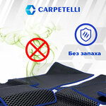 Carpetelli (Tekstilschikov street, 2В/2), auto accessories