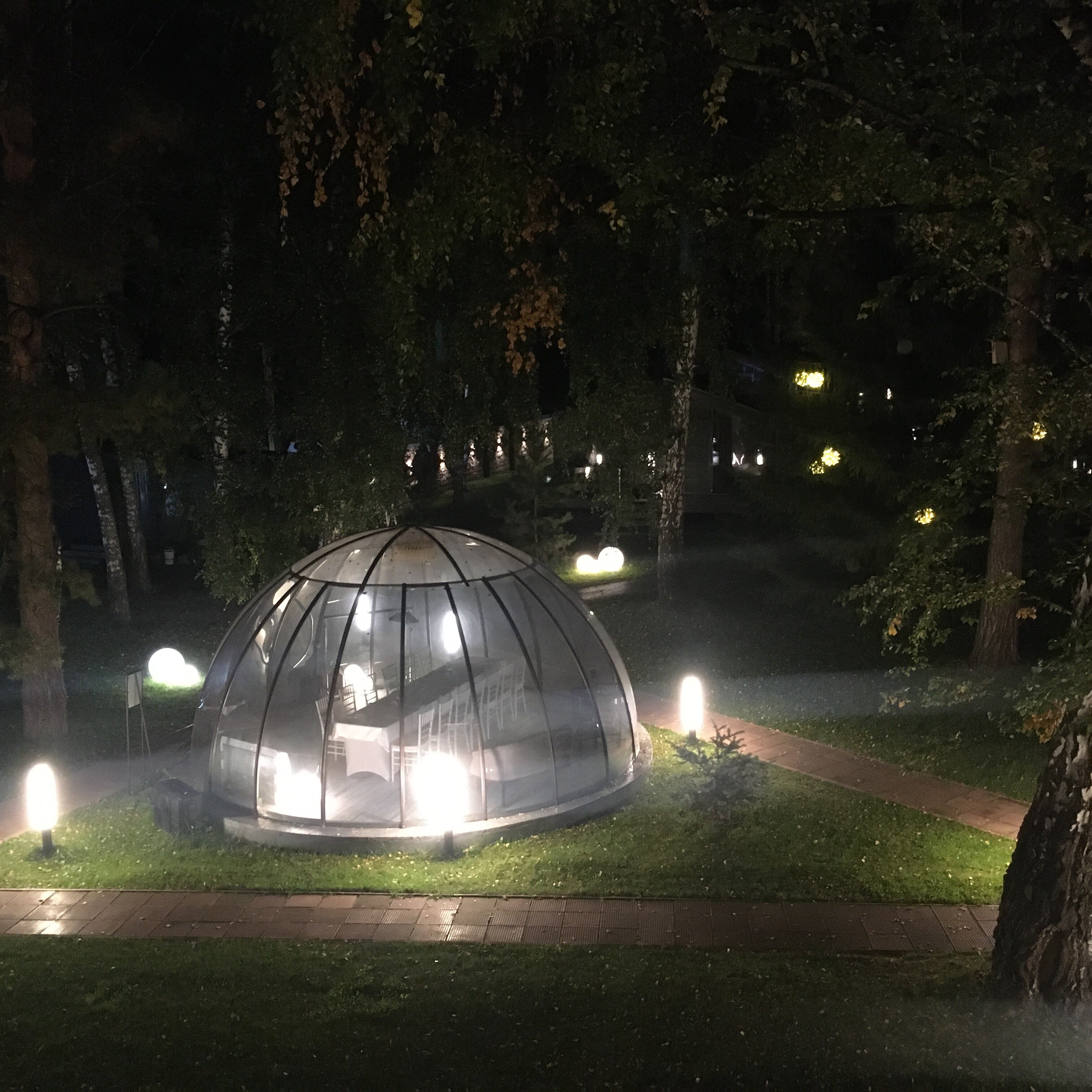 Фото Сосновый бор