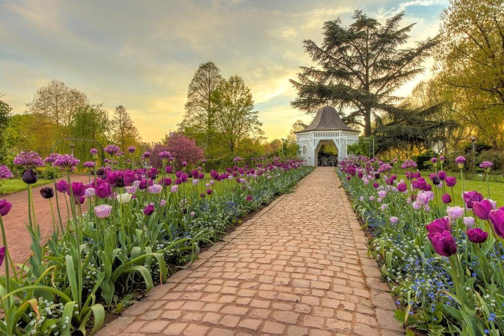 Фото Hotel Rosengarten am Park