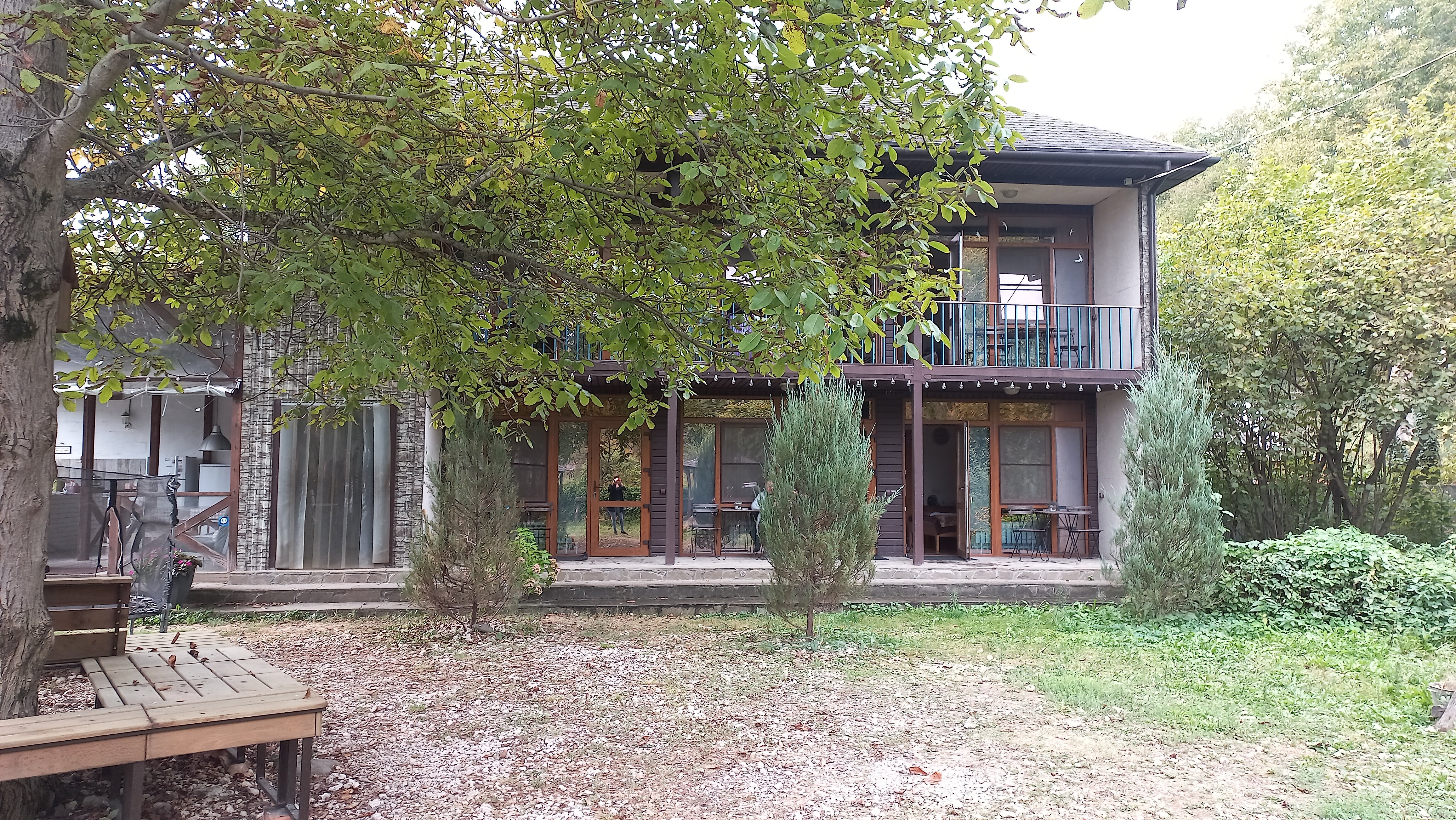 Фото Горная Лаванда