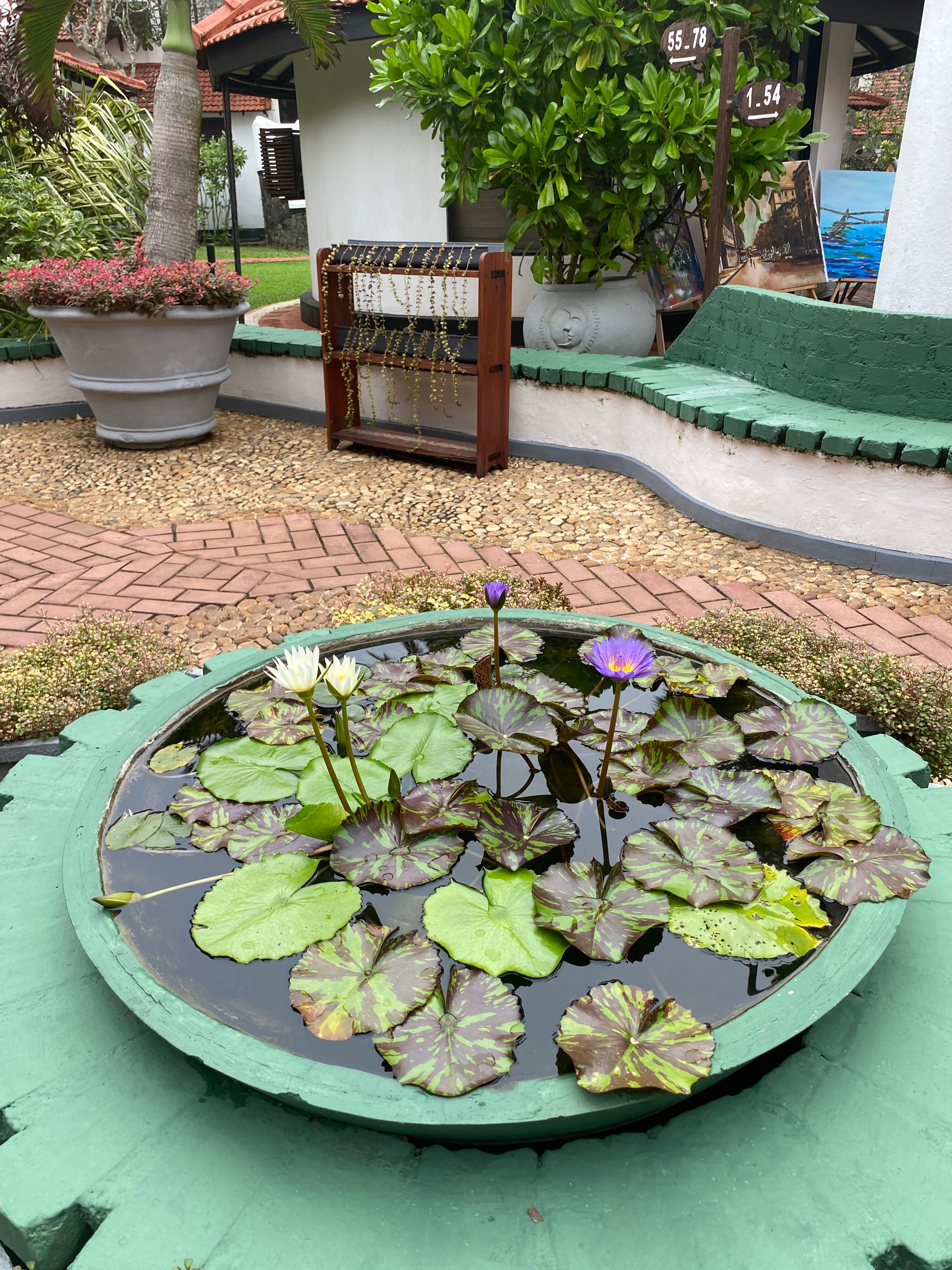 Фото Dickwella Resort and SPA