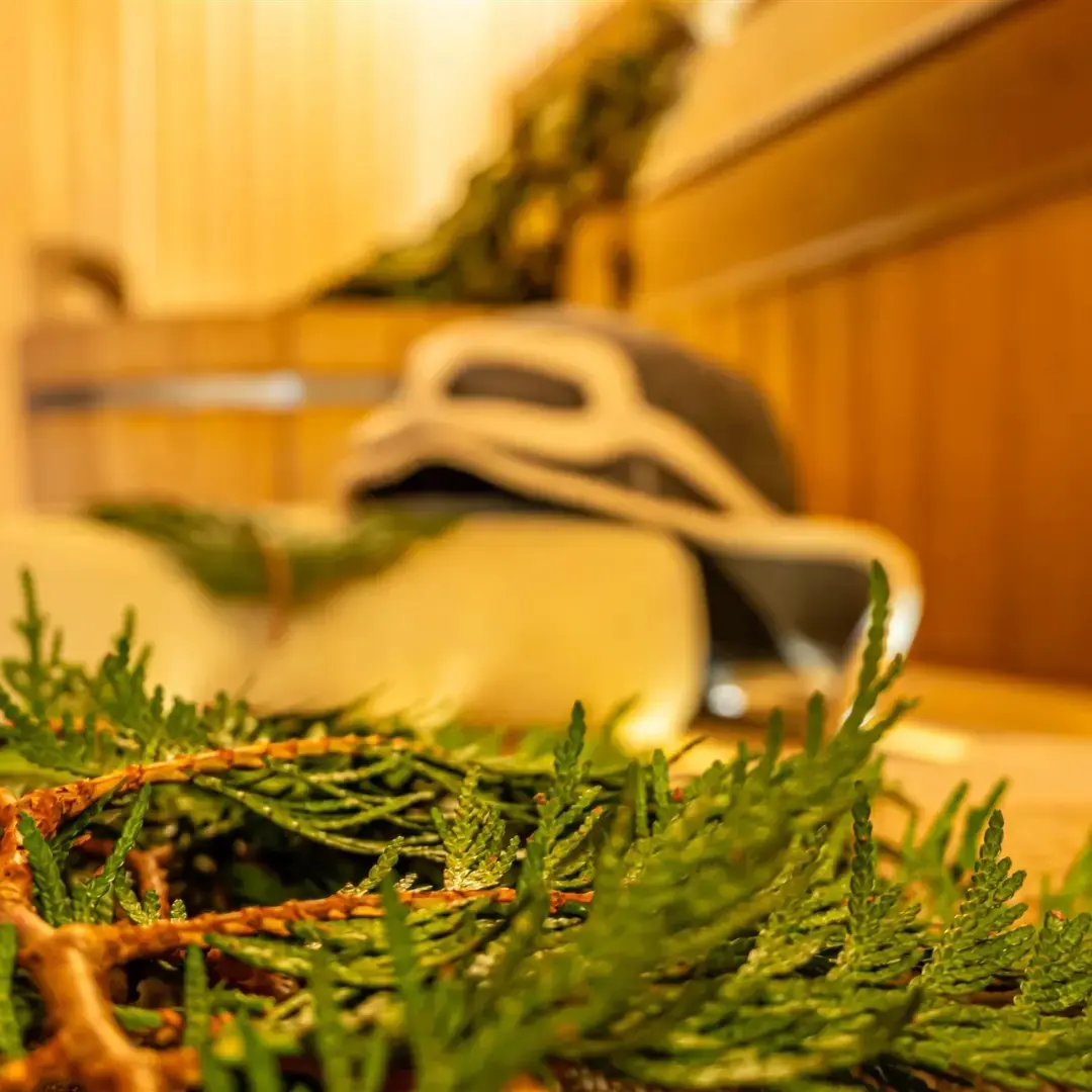 Фото Эко дача