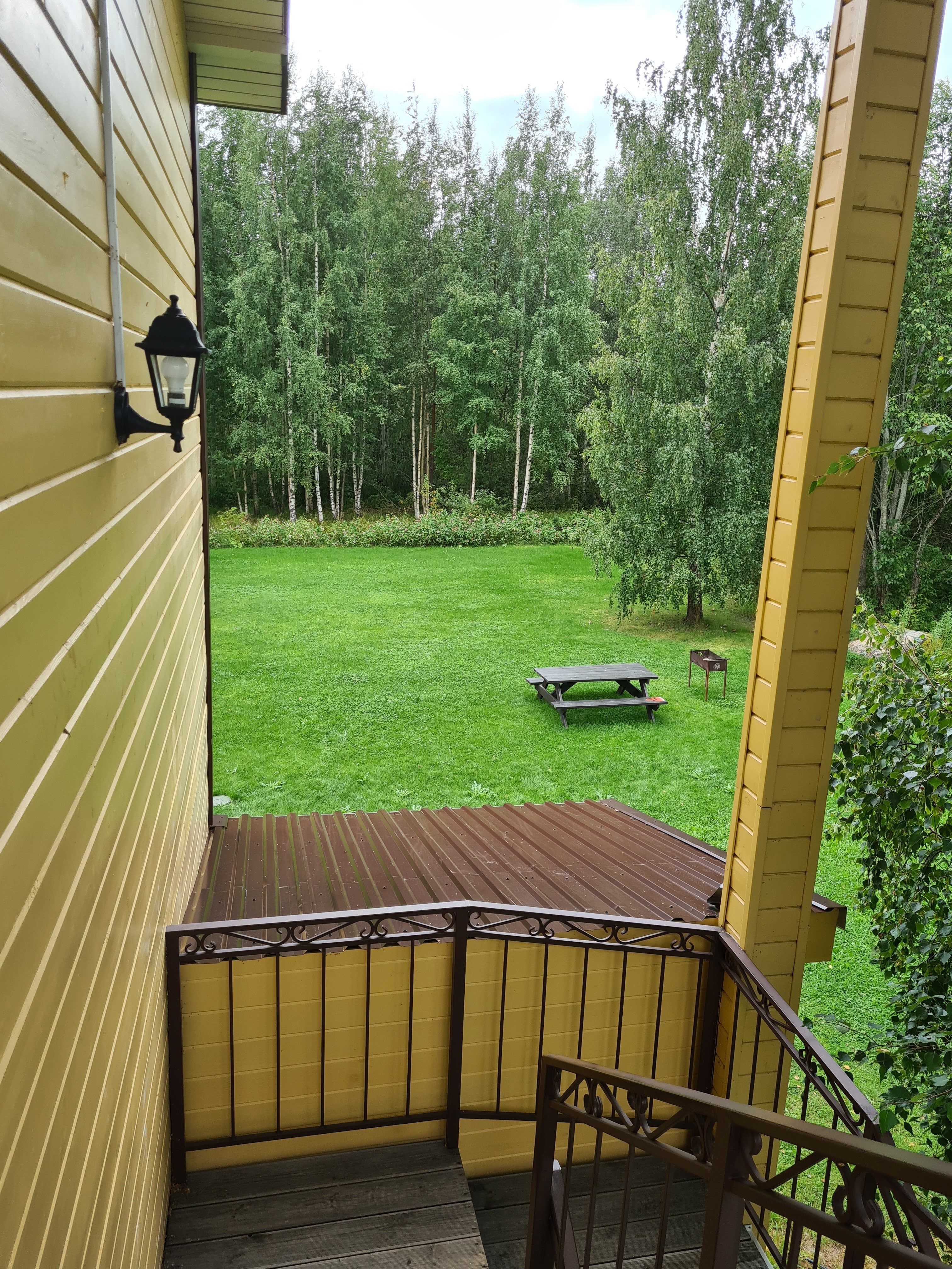 Фото Березки