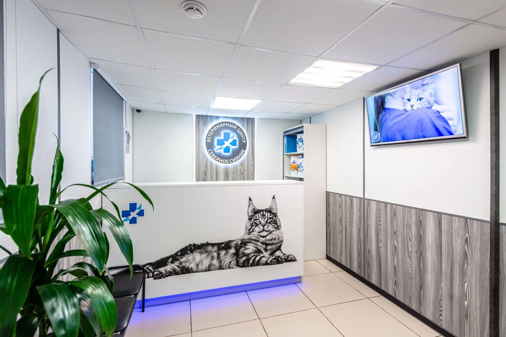 Veterinary clinic Veterinarny'j centr Severnoe Siyanie, Moscow, photo
