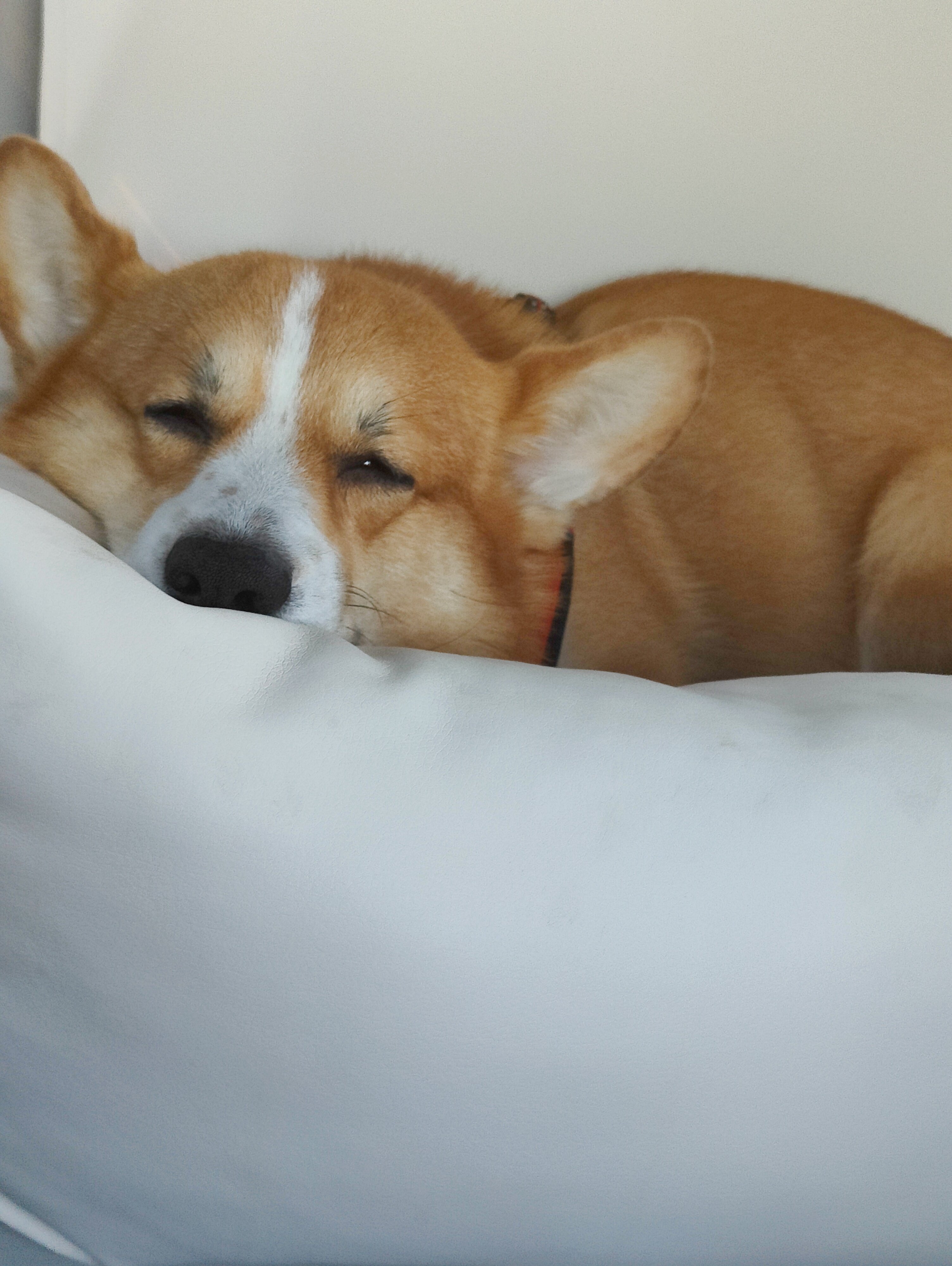 Фото Marton City