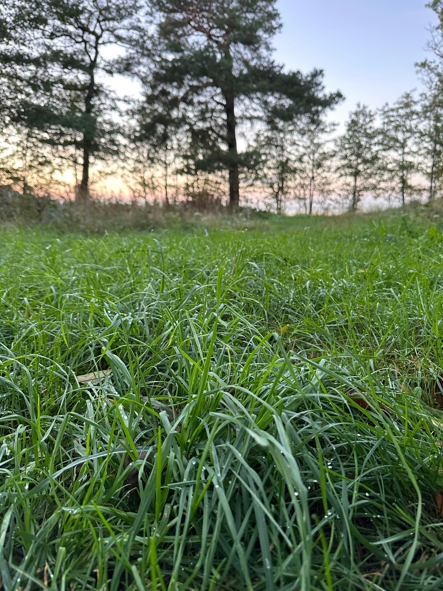 Фото Логи Апарт