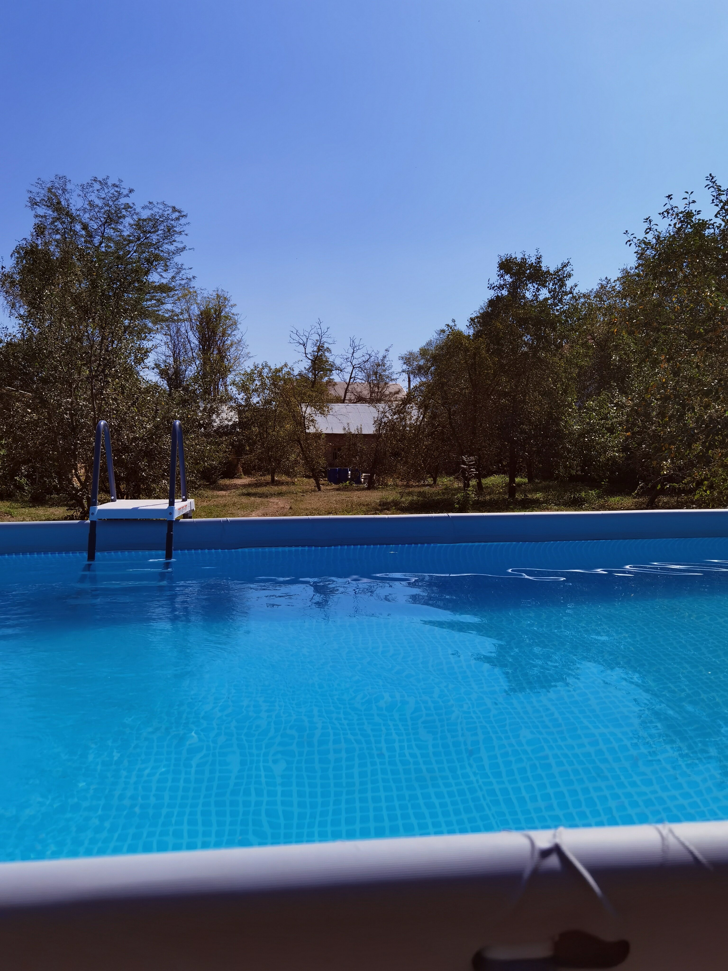 Фото Тихий пруд