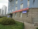 Цикламен (Kollontay Street, 5/1), flower shop