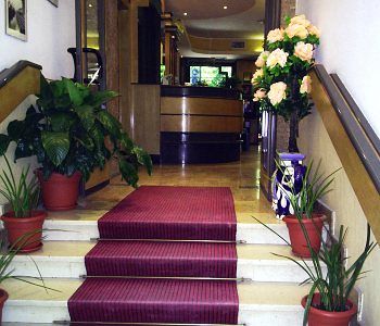 Фото Hotel Adler