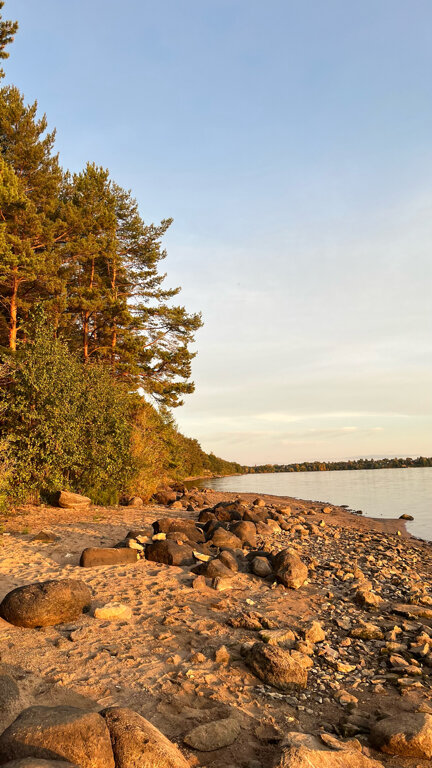 Фото Seliger Soul