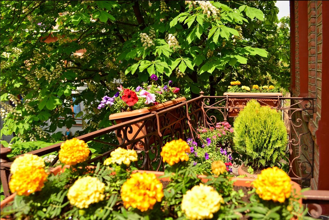 Фото British House