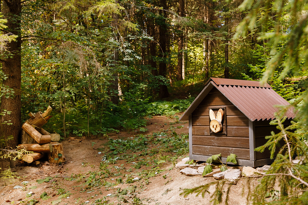 Фото Опушка