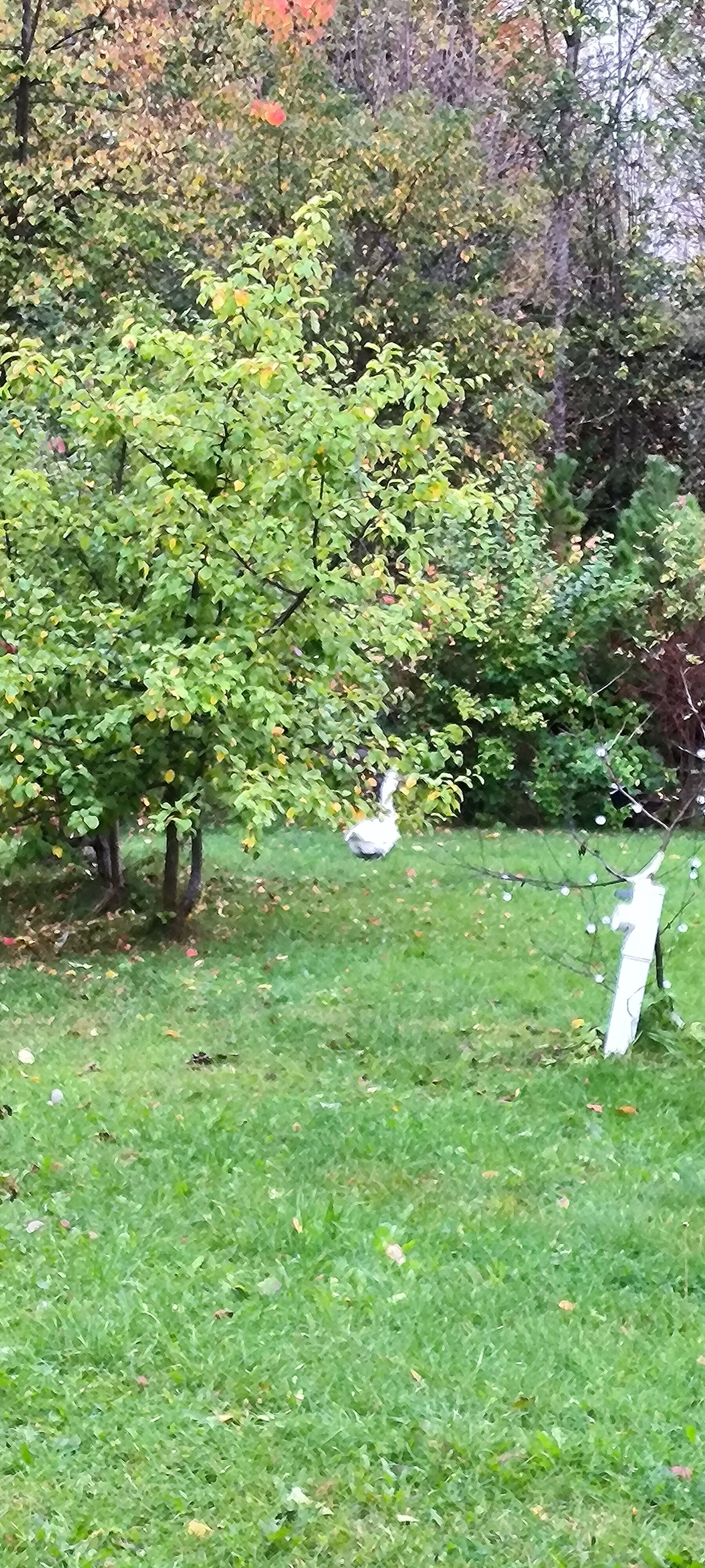 Фото У озера