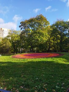 Воронцовский парк (Воронцовский парк, 3, Москва), парк культуры и отдыха в Москве