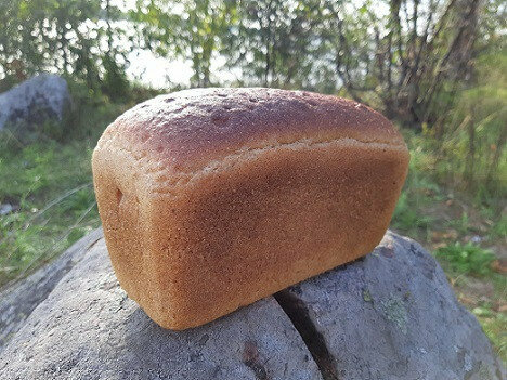 Bread factory Petrokhleb, Priozersk, photo