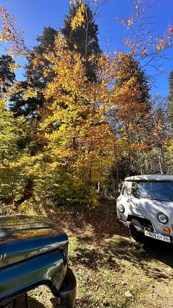 Фото Домик 09