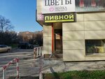 Пивной (rabochiy posyolok Krasnoobsk, 221), beer shop