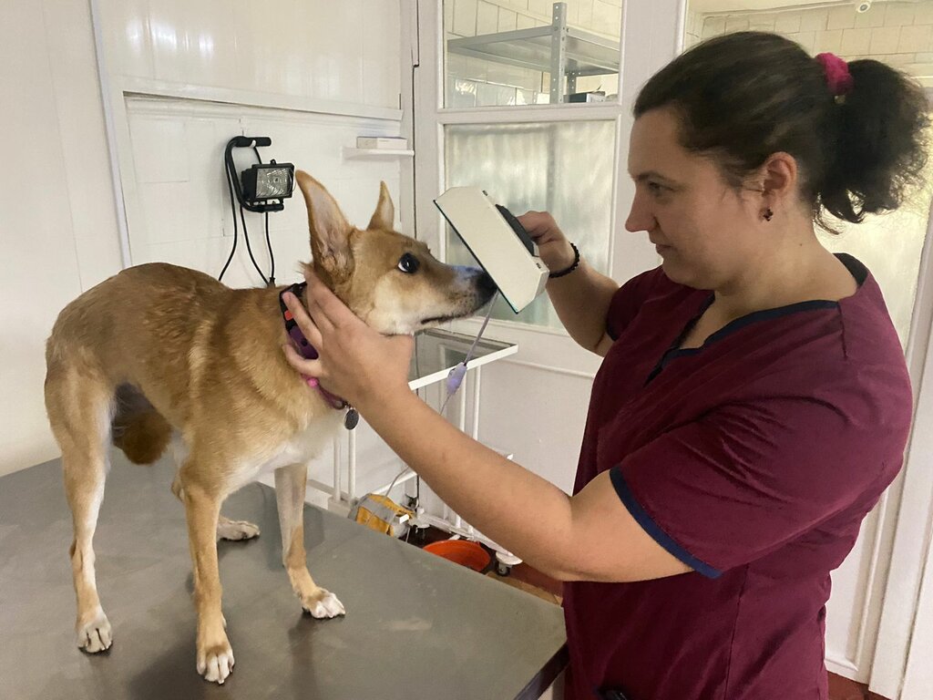 Veterinary clinic Obninsk veterinary station Gbu Ko Borovskaya district SBBZh, Obninsk, photo