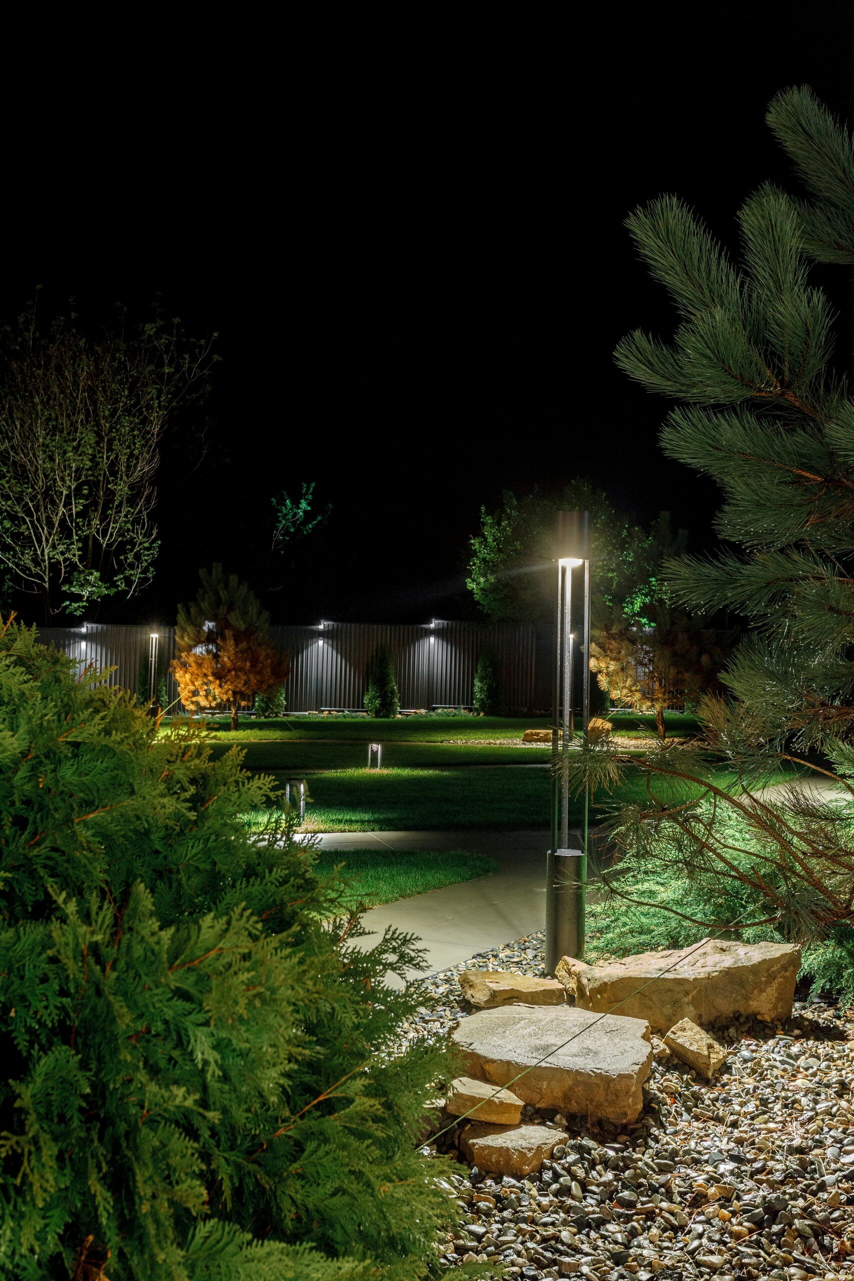 Фото 8 Сосен