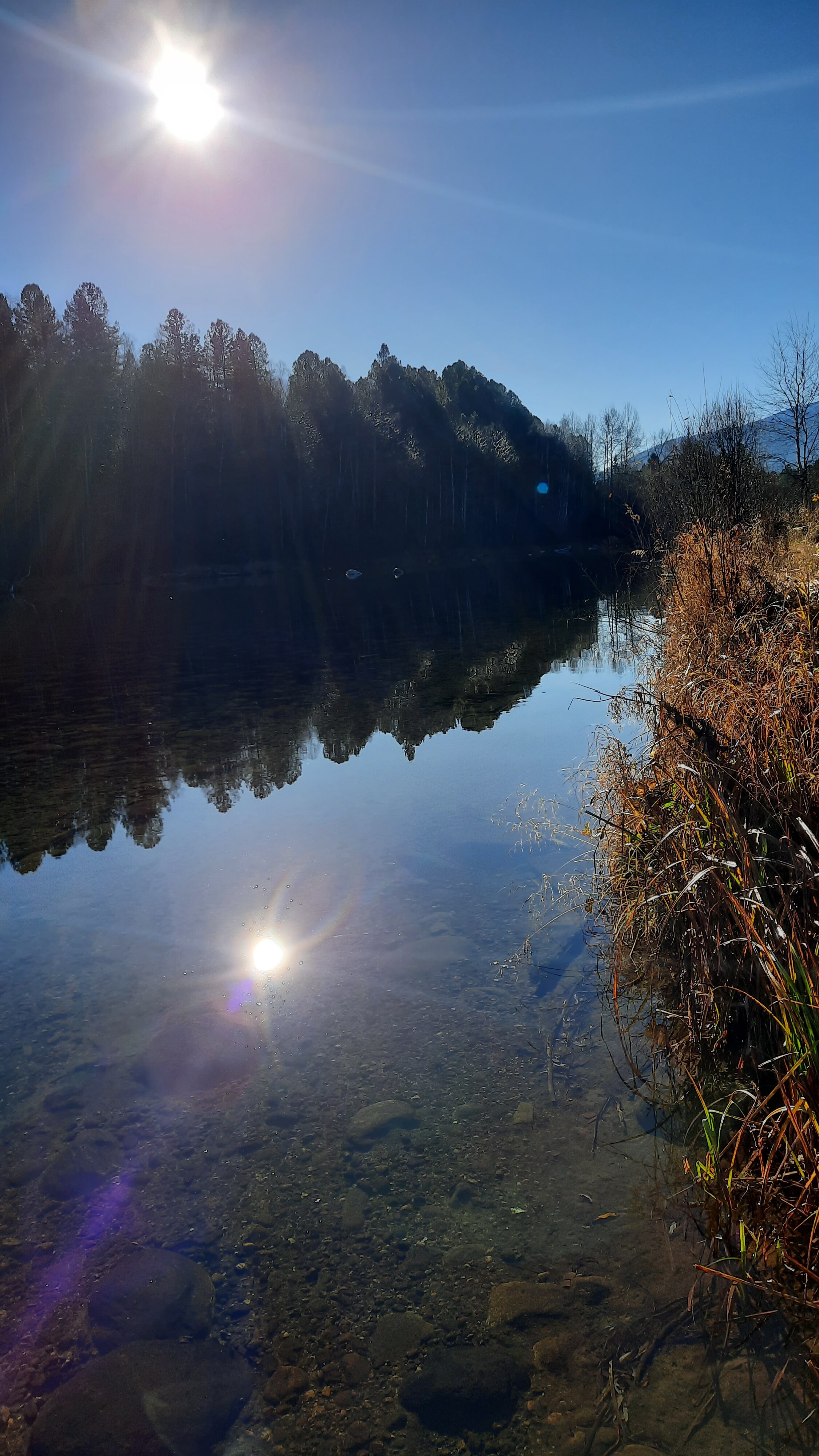 Фото ‎Выдринка