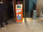 Qiwi (Pieramozhcaw Avenue, 9), payment terminal