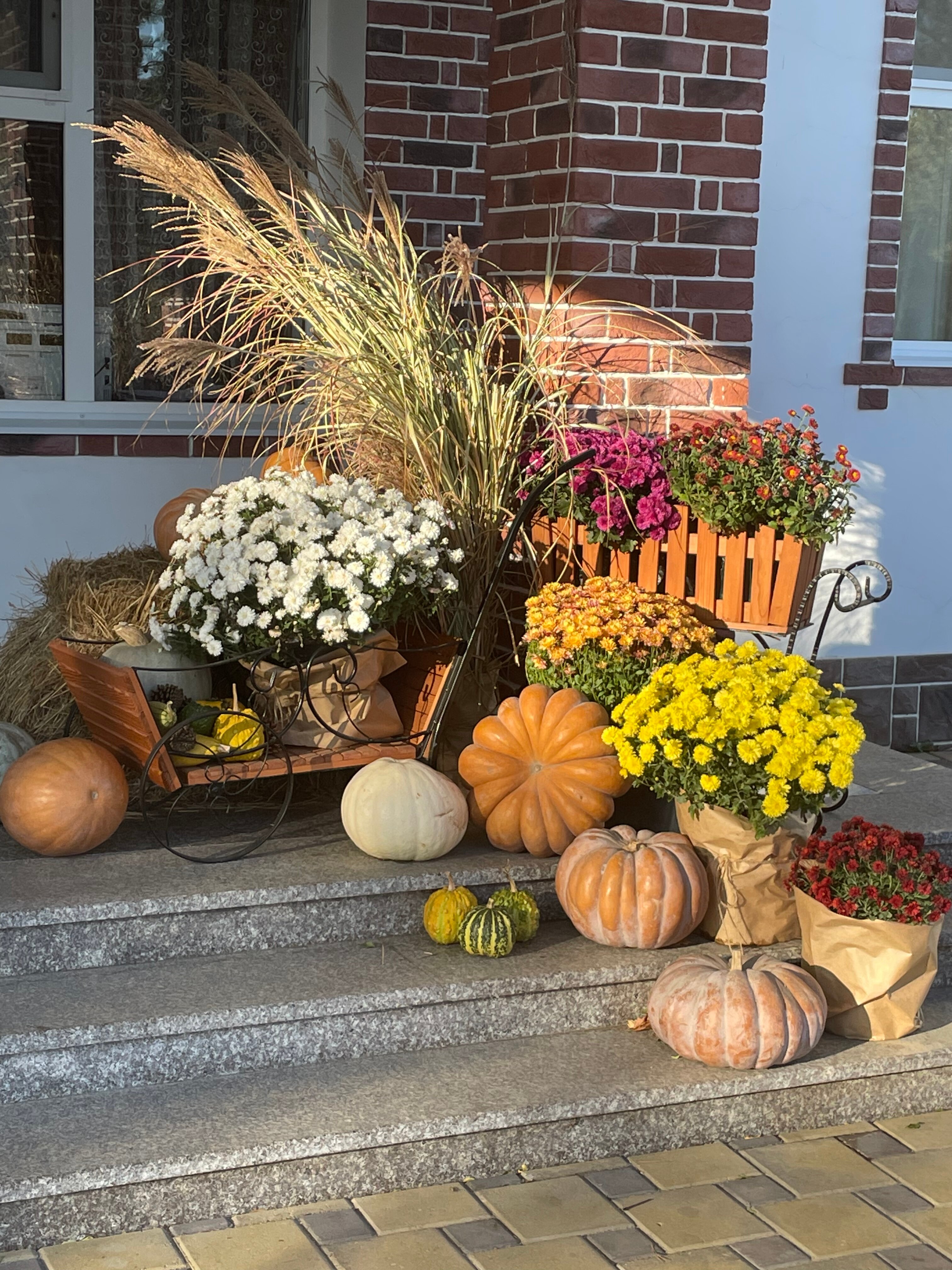 Фото Турист