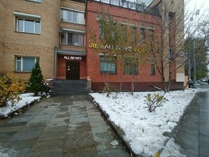 Все медведи