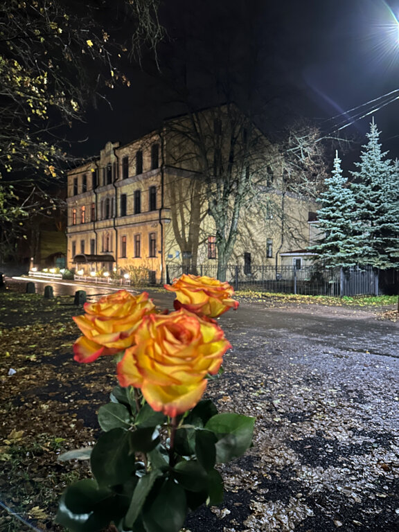 Фото Гостевой дом Шлиссельбургъ