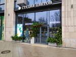Trava (Vasilisy Kozhinoy Street, 13) ، محل زهور