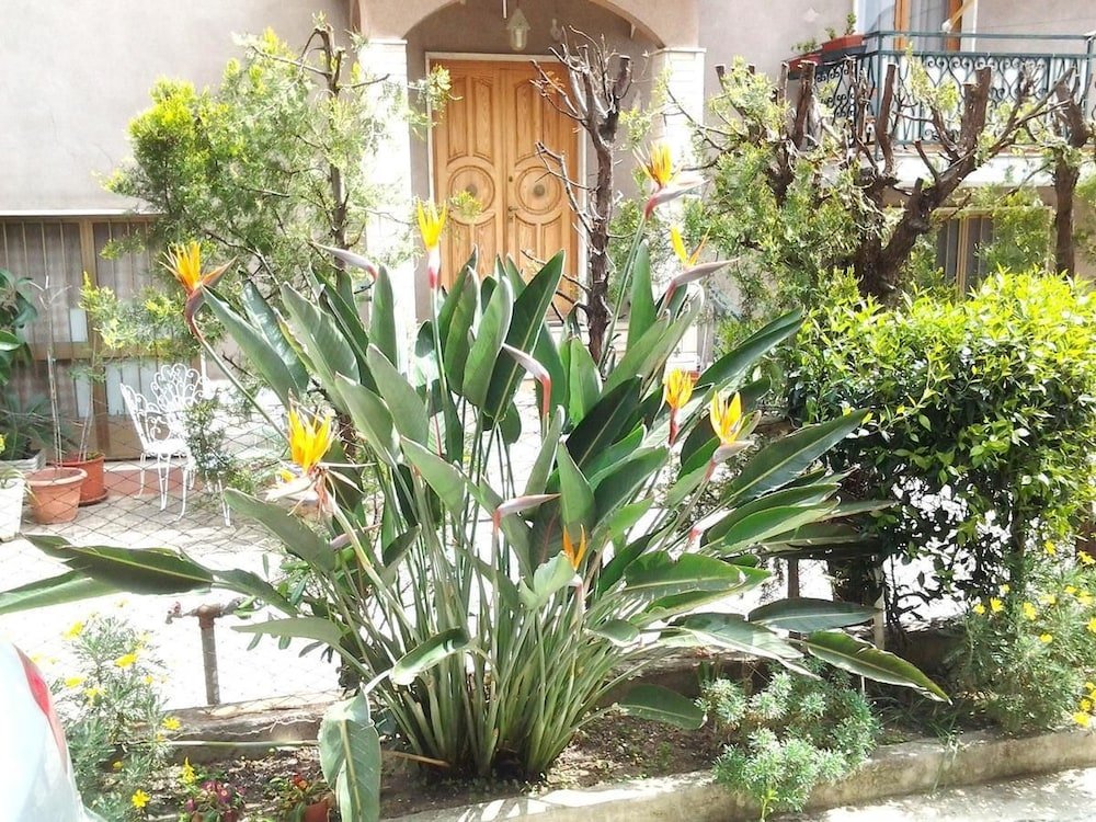 Фото Hotel Aurora