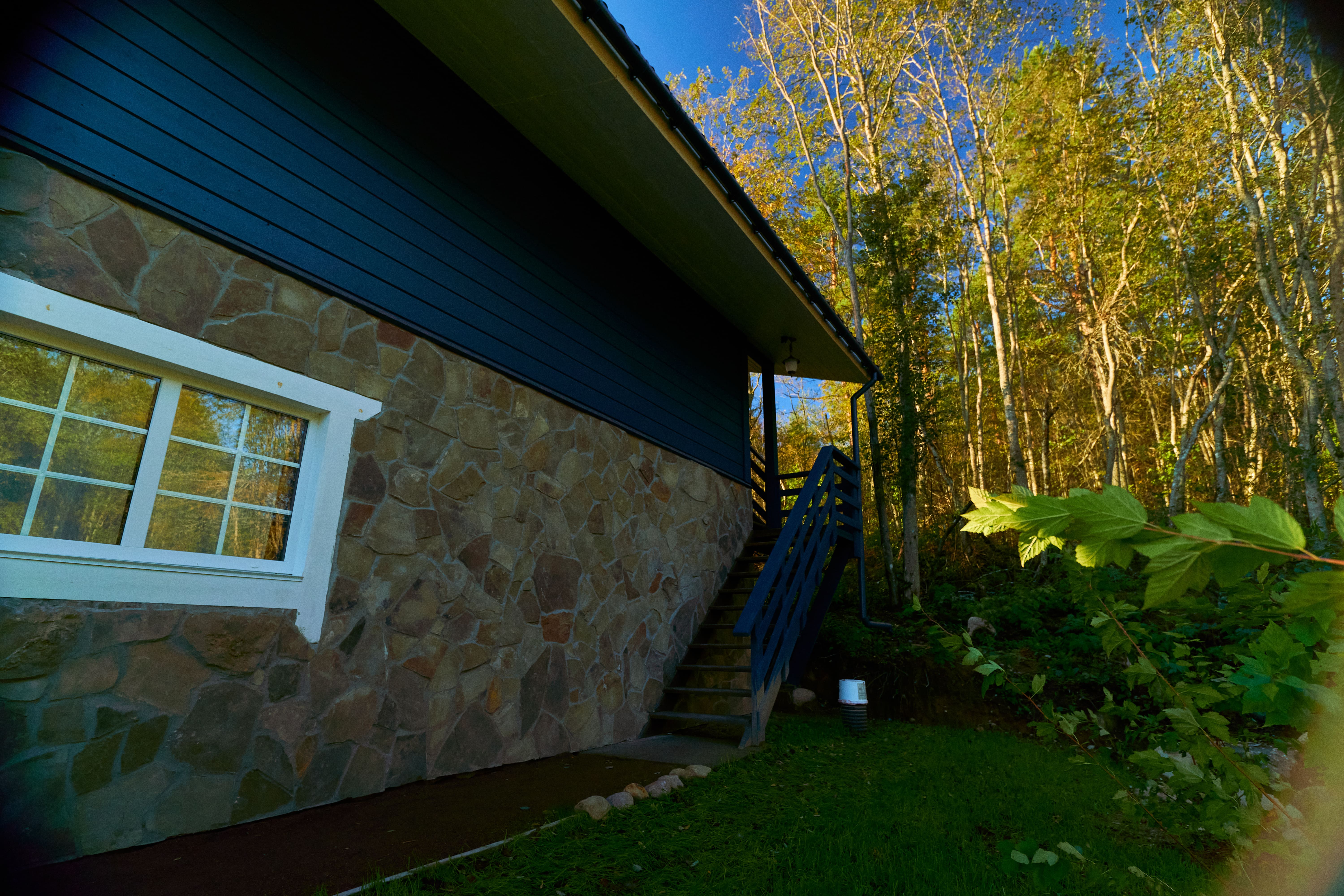 Фото Талони