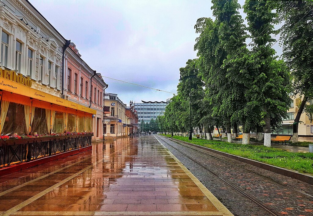 Кафе Лимончелло, Владикавказ, фото