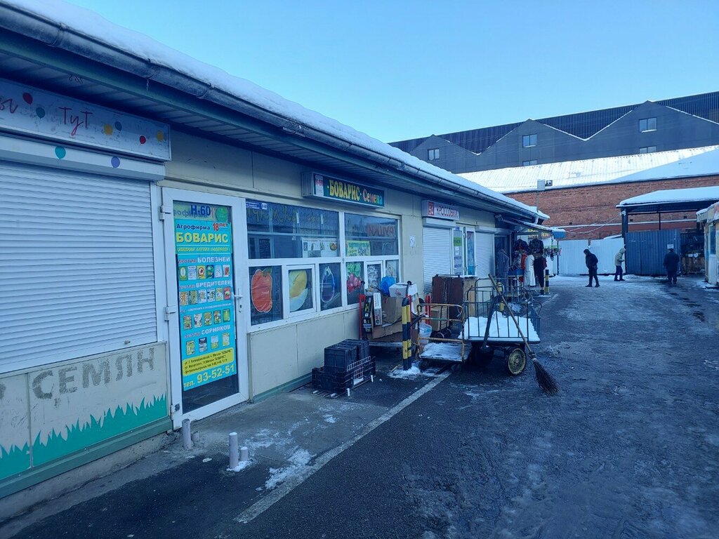 Seed shop Bovaris, Kaliningrad, photo