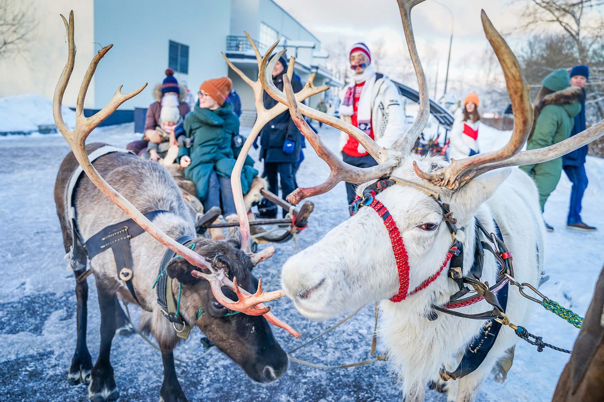 Фото Тропикана Парк