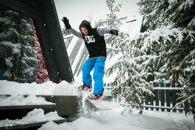 Фото Elki в Новожилово