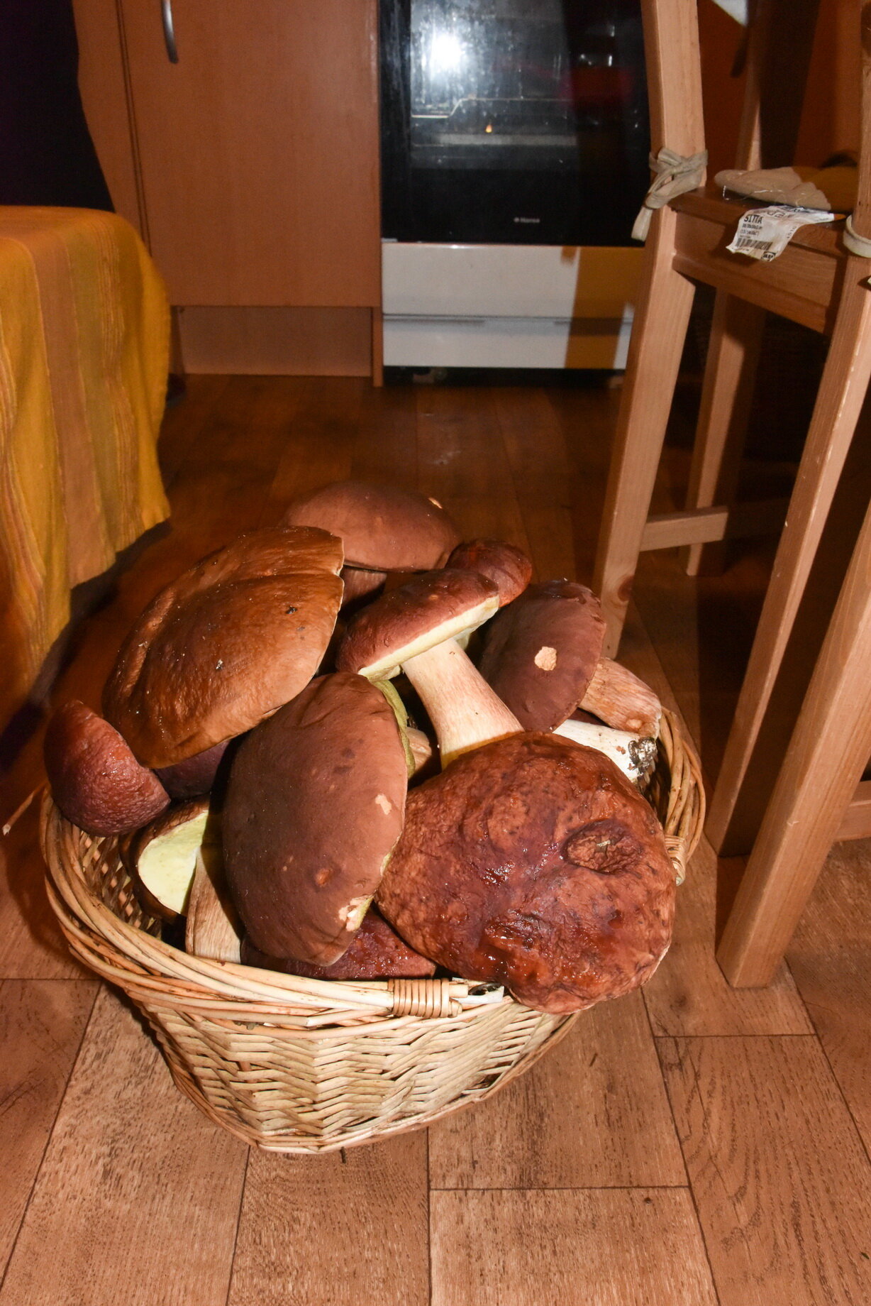 Фото Домик Коиви