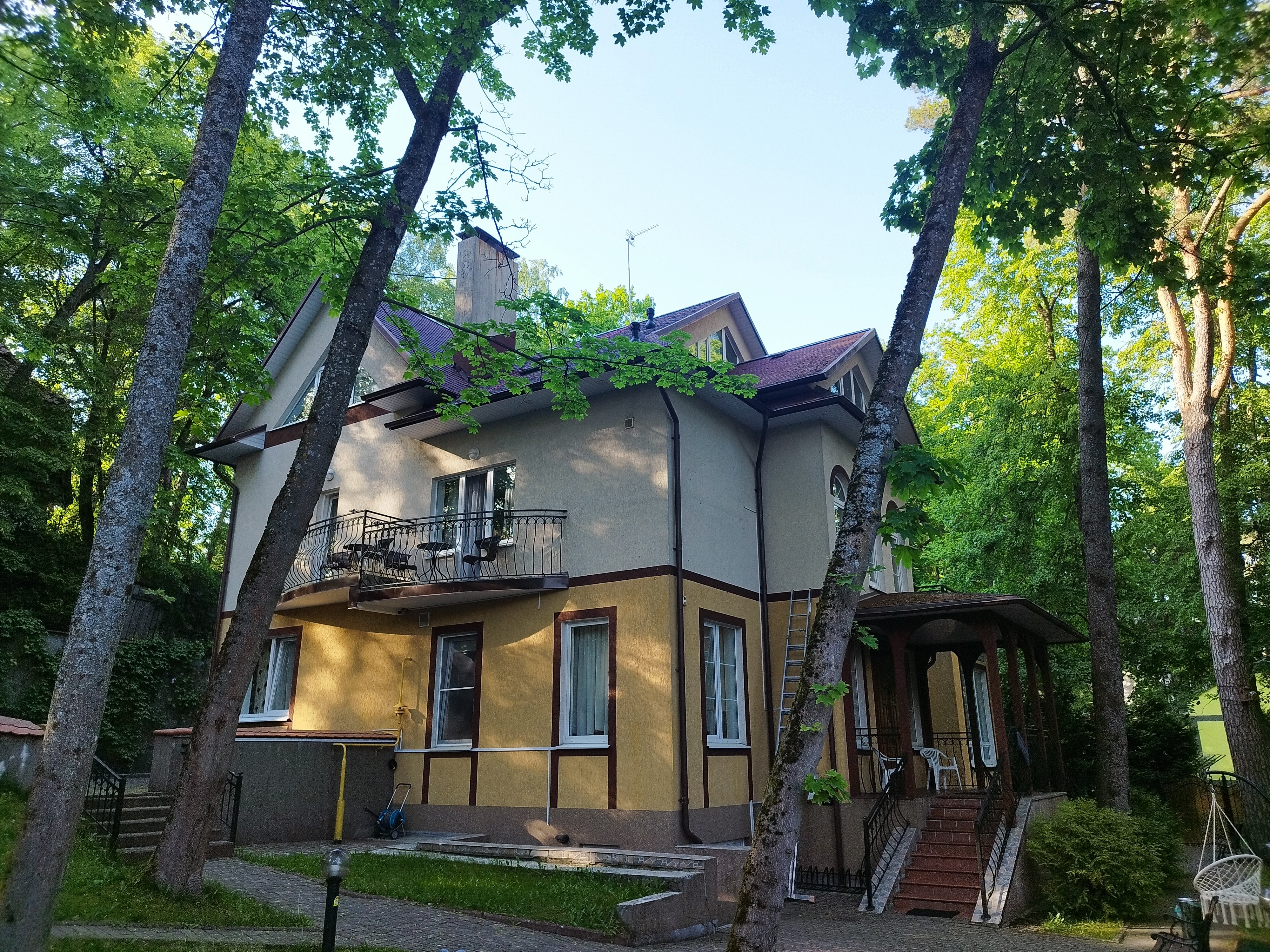 Фото Фламинго