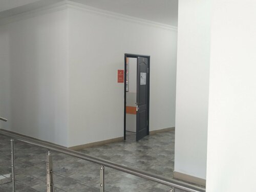 Susanna Ferro желісі