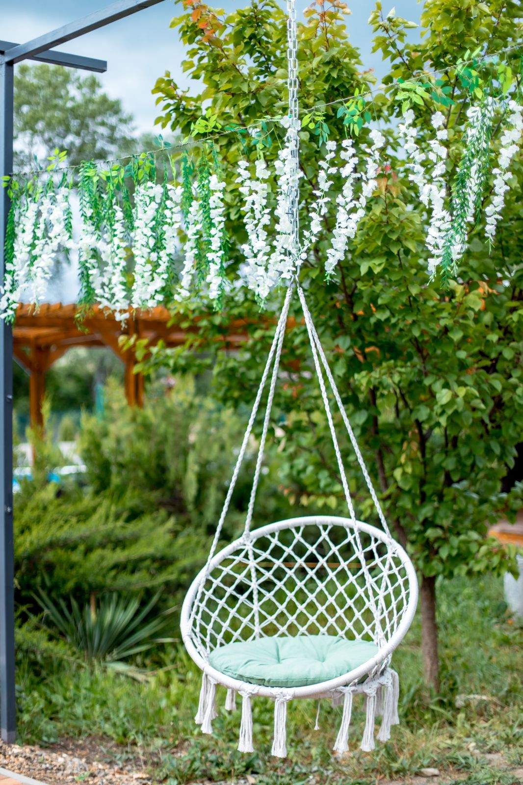 Фото Кипарис