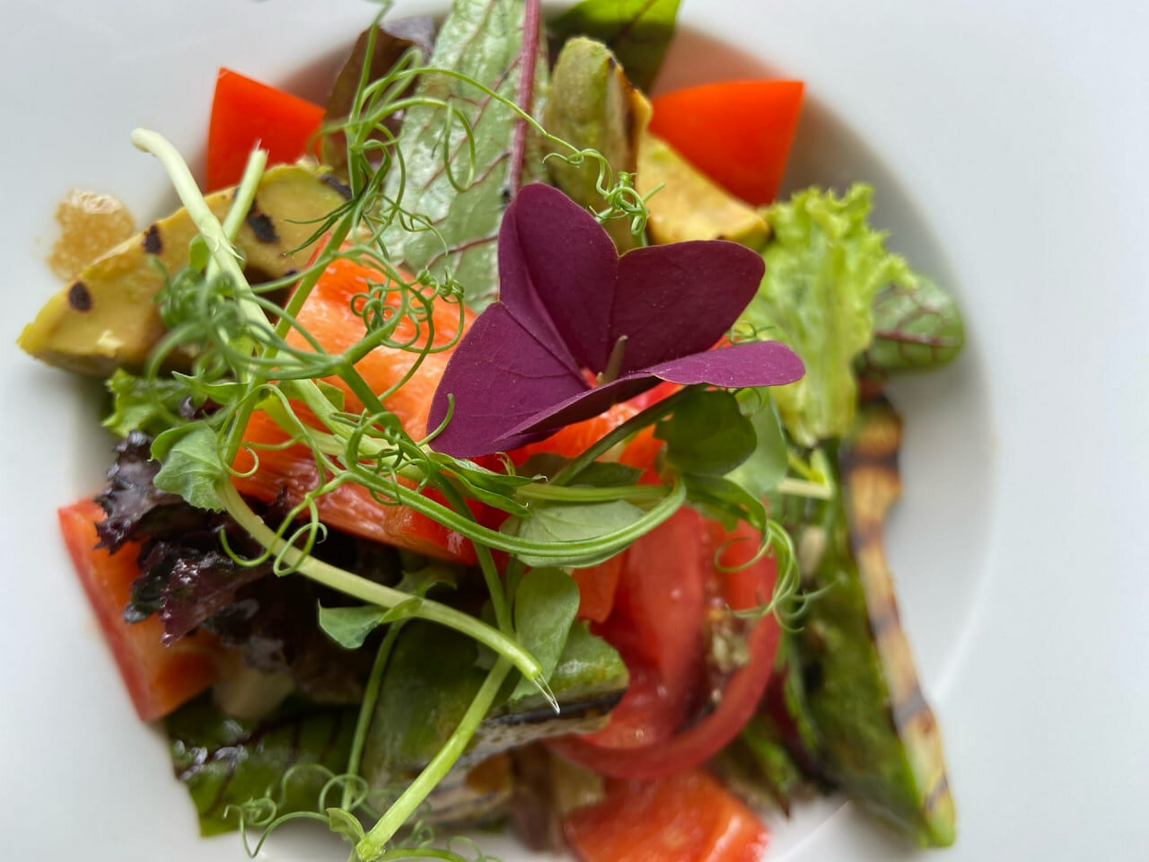 Фото Калипсо