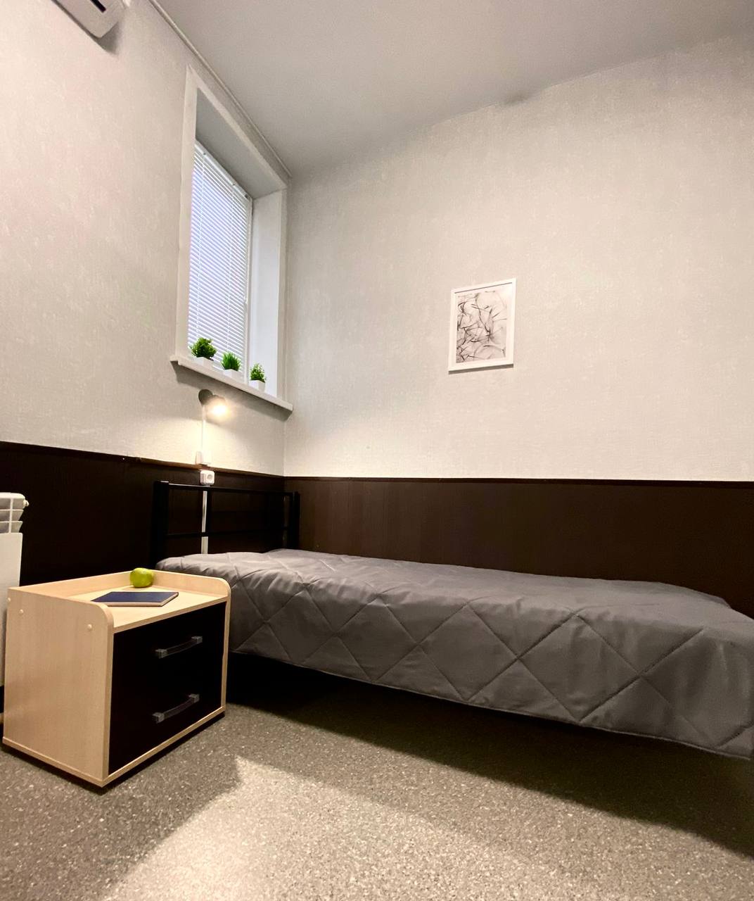 Фото Колибри