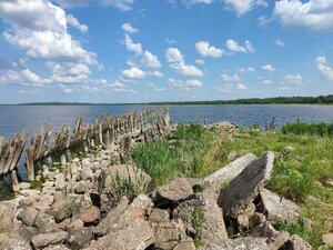 Пешеходный экологический маршрут Берег Копорской губы (Ленинградская область, Кингисеппский район, Государственный природный комплексный заказник Котельский, пешеходный экологический маршрут Берег Копорской губы), достопримечательность в Санкт‑Петербурге и Ленинградской области