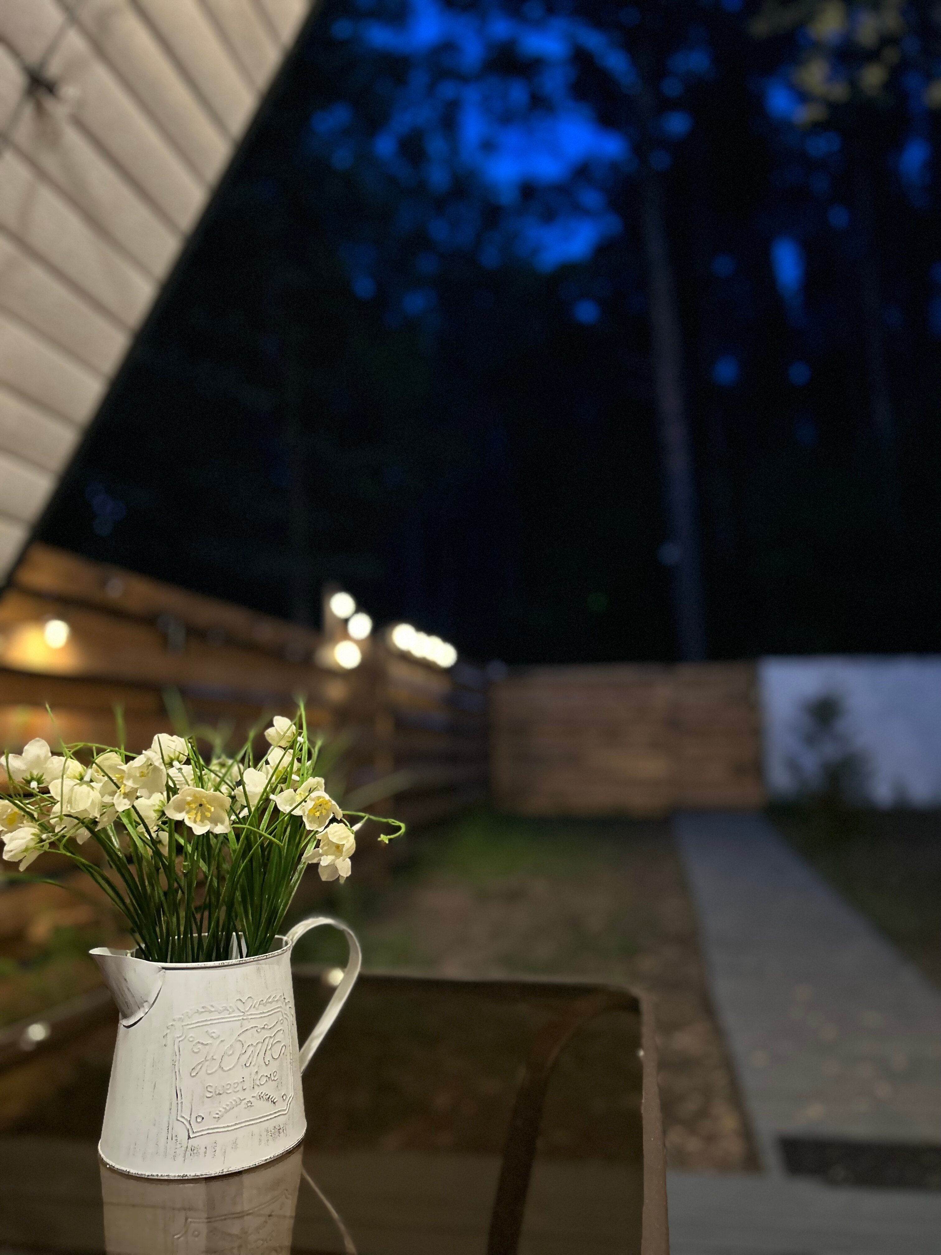 Фото Дом в лесу