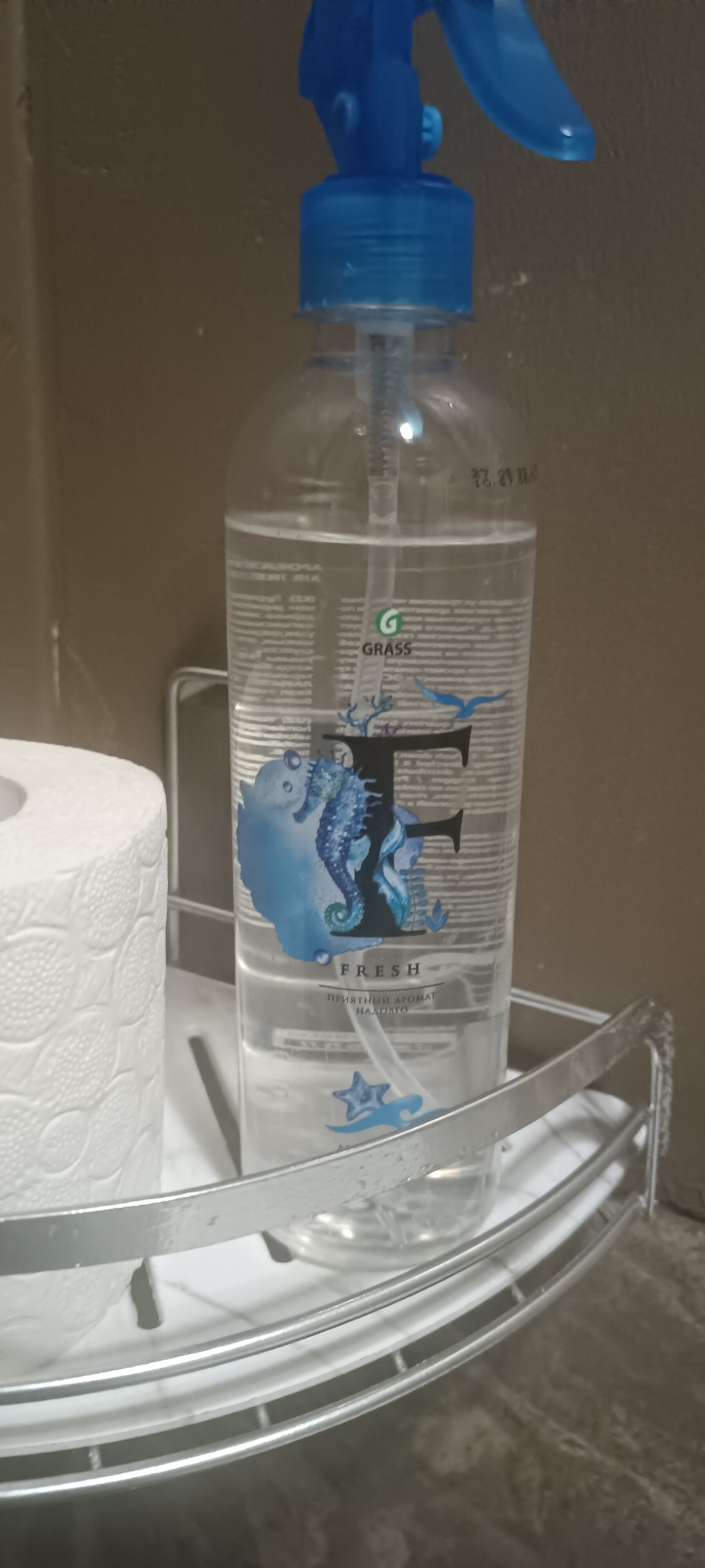 Фото Бургомистр