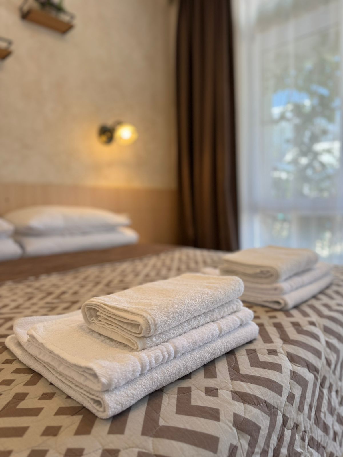 Фото Гранд Камелия