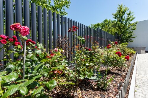 Фото Отдых на высоте