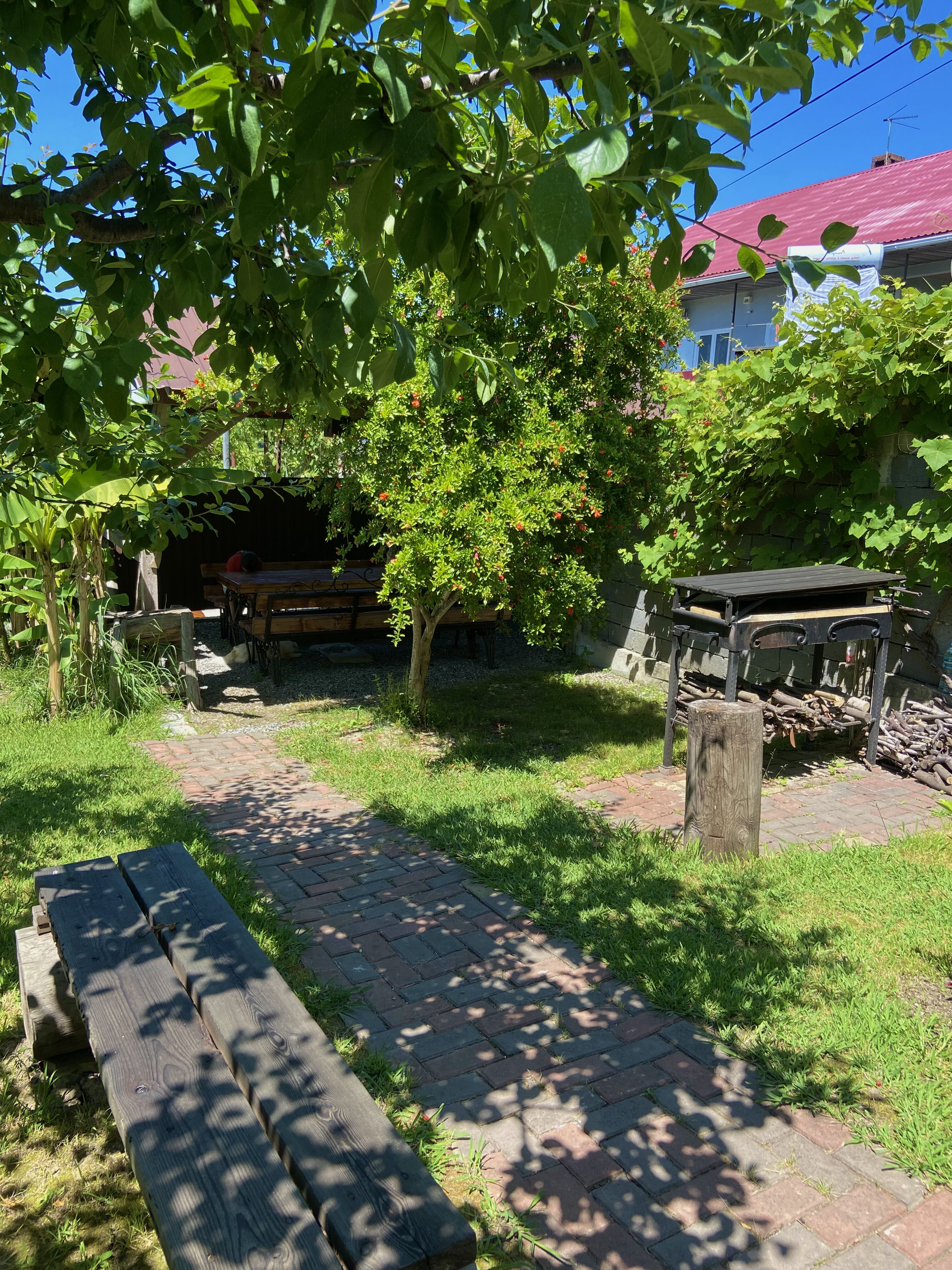 Фото Ласточкино Гнездо