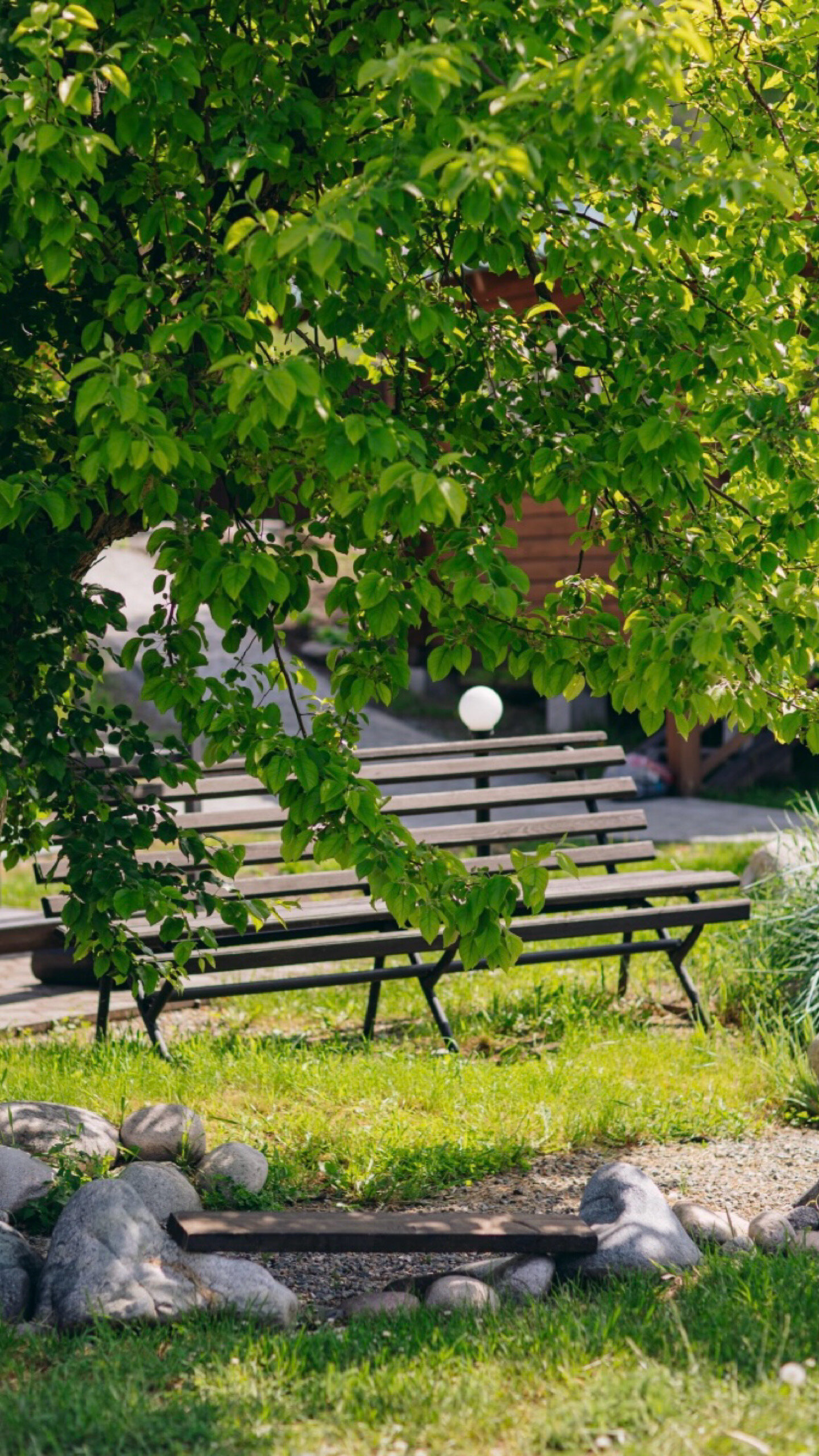 Фото Чемалка