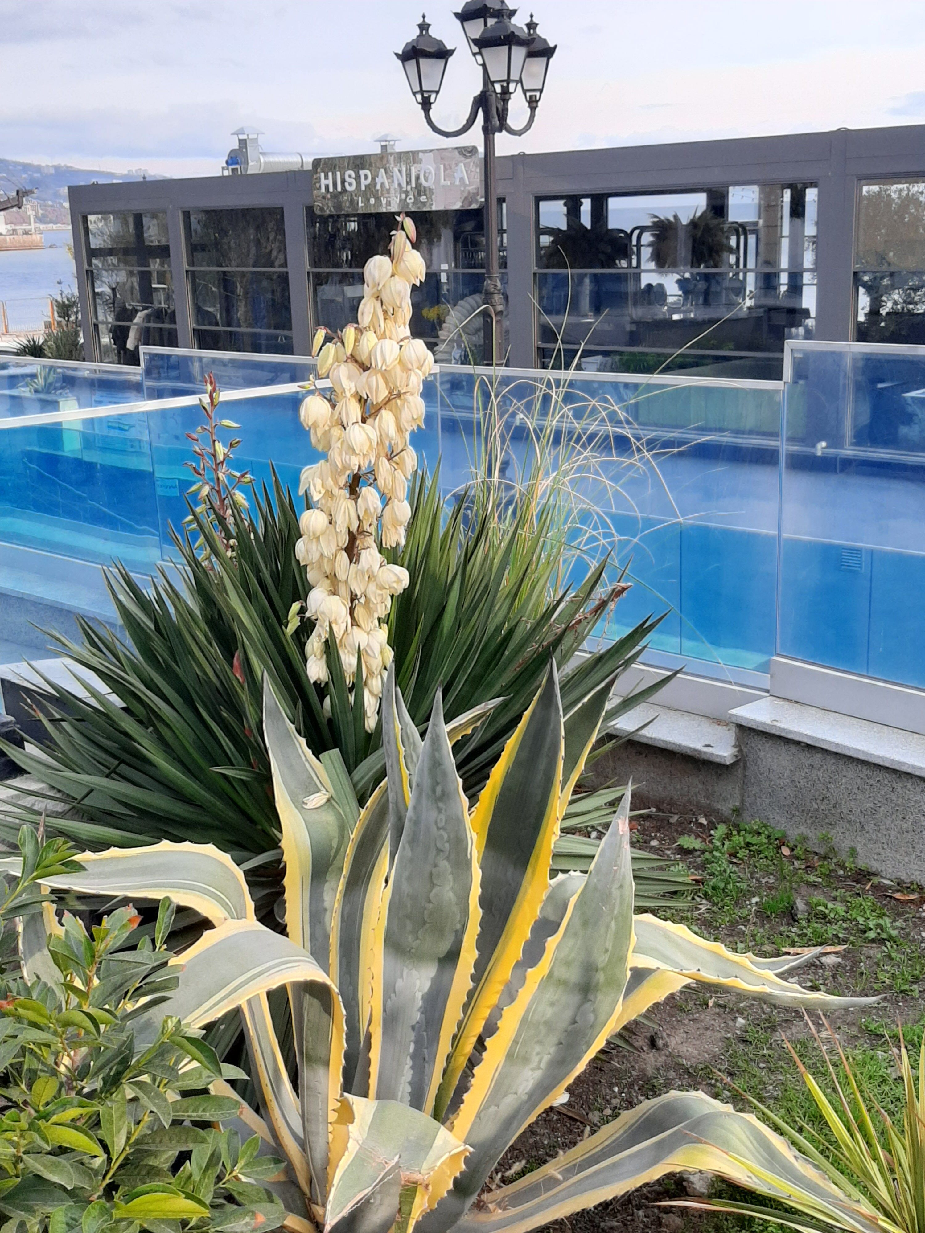 Фото Апартаменты у Приморского Парка