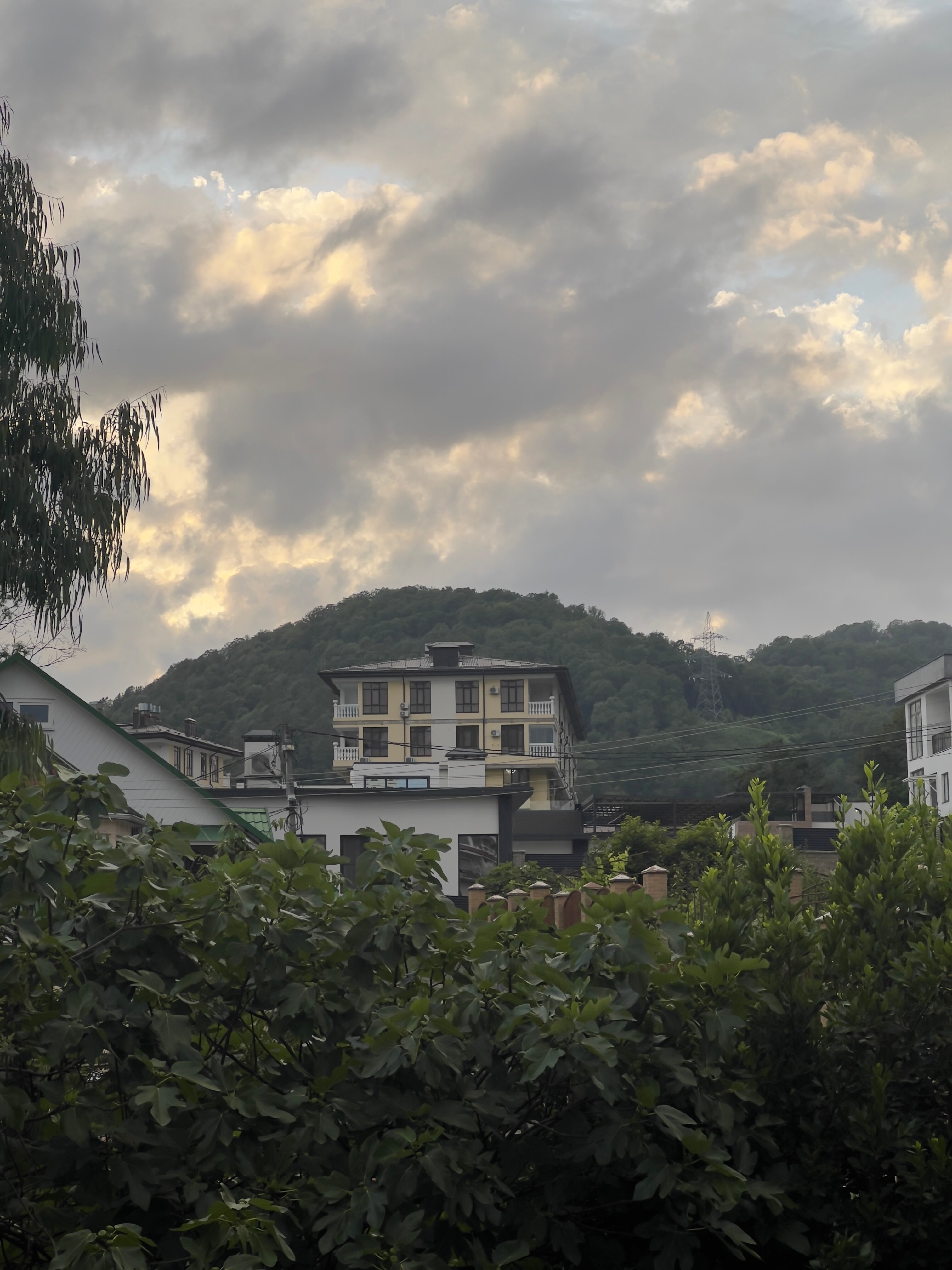 Фото Анна-вояж